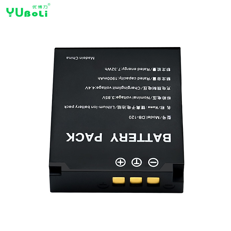 Ricoh DB-120 battery label detail